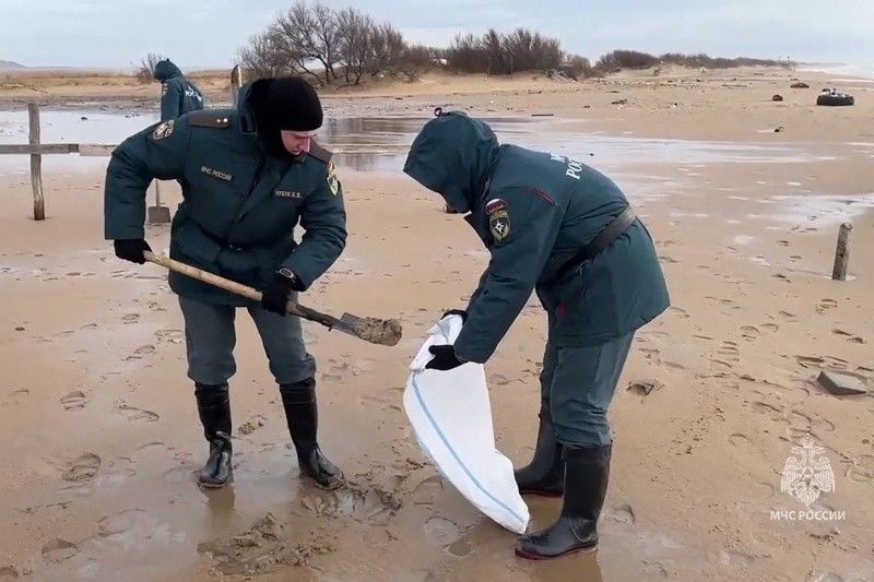 Russian scientists criticise oil spill cleanup