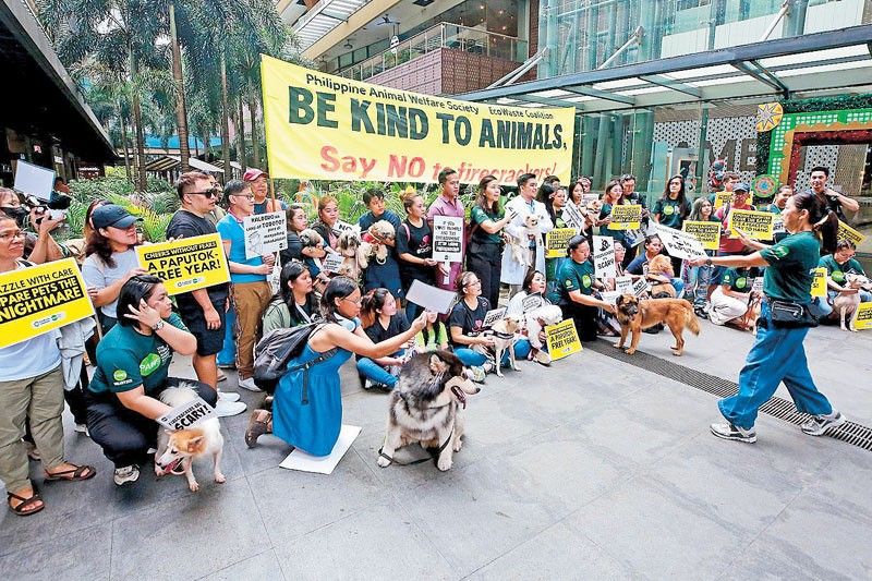 âProtect animals from New Year noise, fumesâ