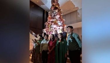 Ortigas hotel lights tree for a cause