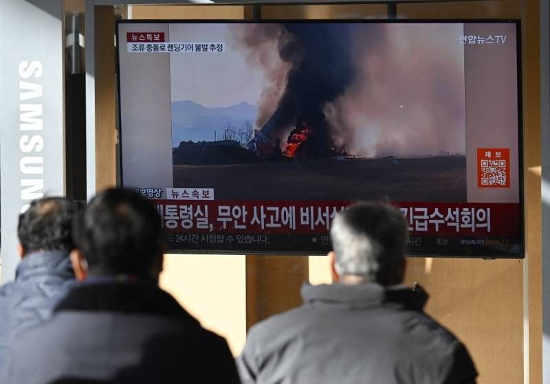 Plane with 181 on board crashes in South Korea, killing 29