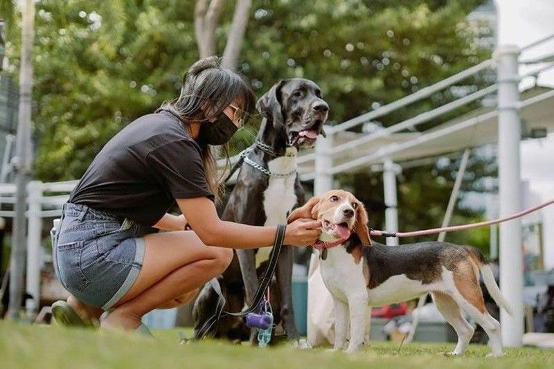 Owners told to secure pets during New Year fete