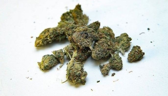 P4.9 milyong Kush sa abandonang parcel, nasamsam