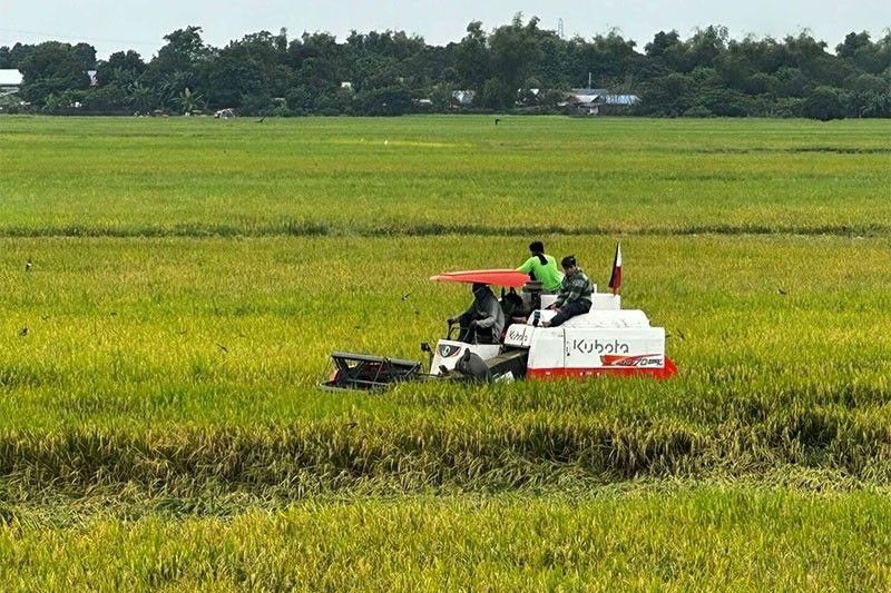 DA, Pakistan palalakasin pa kalakalan sa agriculture products