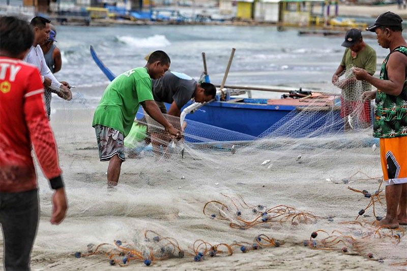 Young Filipinos leave fishing industry - PSA