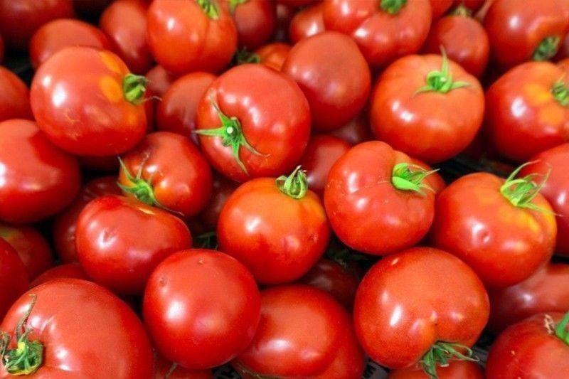 Tomato costs P20 per piece â DA