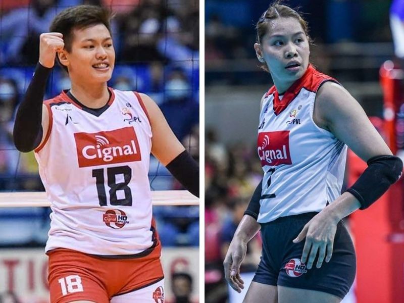 Molina, Meneses depart Cignal HD Spikers