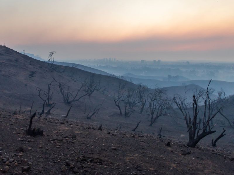 NBA postpones Lakers-Hornets game due to Los Angeles-area wildfires