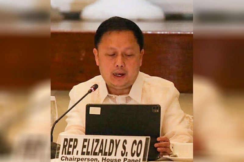 Rep. Zaldy Co out as appropriations panel chairman