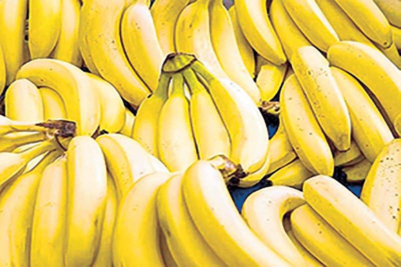 Philippines slips to 4th biggest banana exporter in 2024