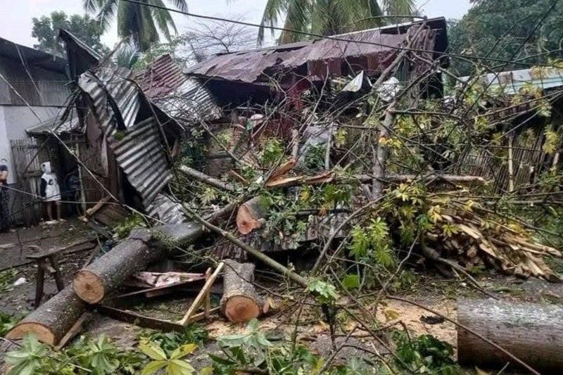 Muslim preacher dies after being hit by fallen tree