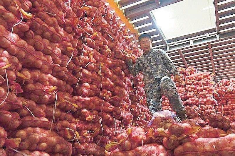 DA files raps over P20.8 million smuggled vegetables