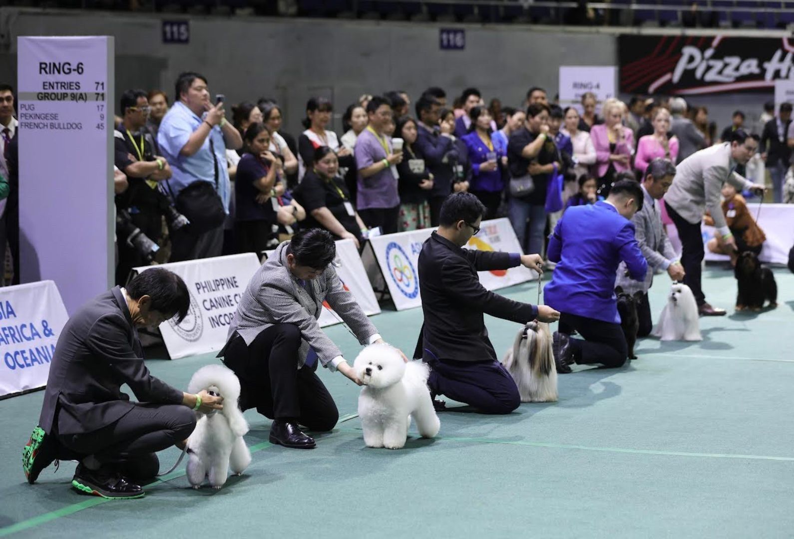 American Cocker Spaniel, Chow Chow among winners at Philippine Circuit 2025