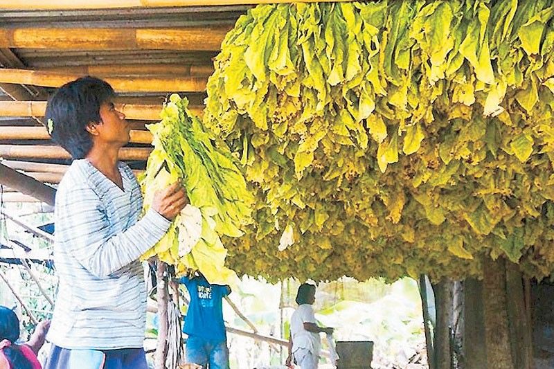 NTA backs moratorium on higher tobacco excise taxes