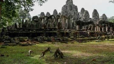 YouTubers causing monkeys to attack tourists at Cambodia's Angkor Wat