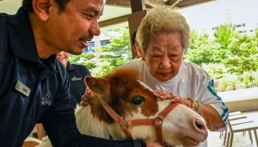 Singapore seniors hoof it to horse therapy