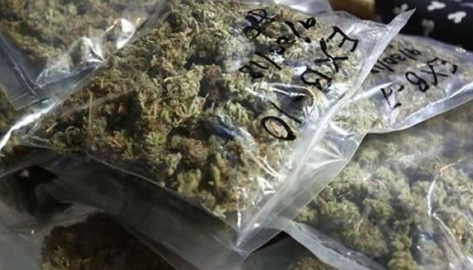 P29 milyong marijuana nasabat ng PDEA, BOC sa Tondo