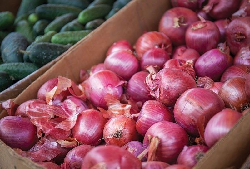 DA: 3,270 MT of imported onions arrive