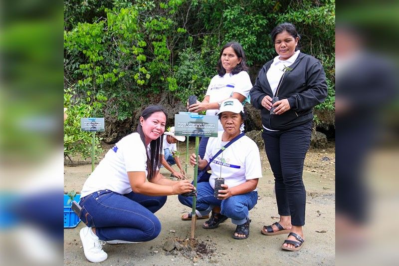 How mangrove reforestation boosts economic opportunities for women in coastal communities