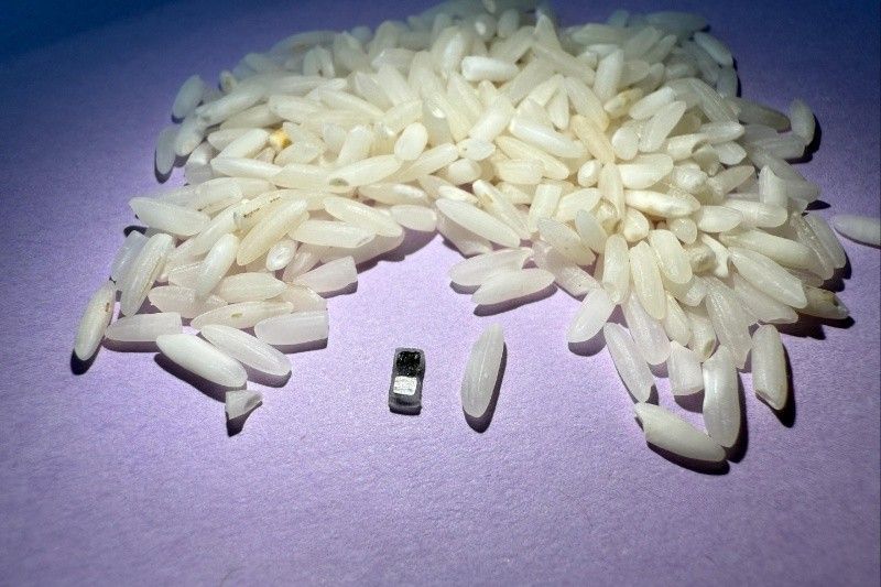 World's tiniest pacemaker is smaller than grain of rice
