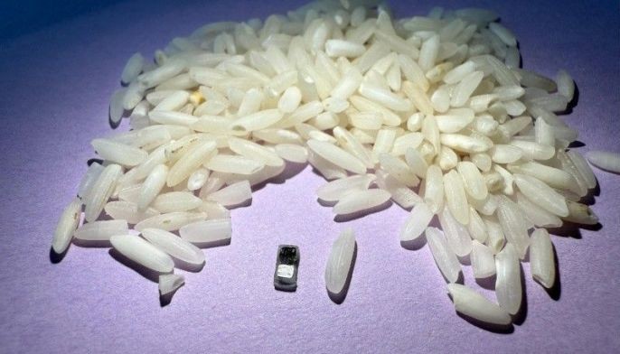 World's tiniest pacemaker is smaller than grain of rice