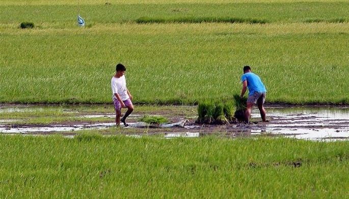 Magsasaka nagpasalamat kay Romualdez sa patubig