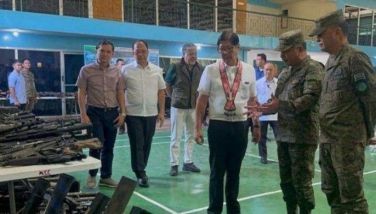 Firearms collected in Central Mindanao presented to Marcos