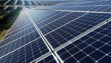 Vietnamese firm building P893 million solar farm in Bataan