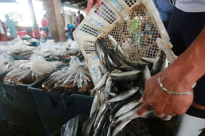 Heat kills 2,000 kilos of fish in Taguig