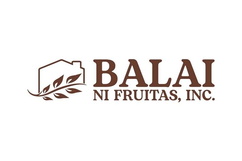 Balai profit soars in 2024