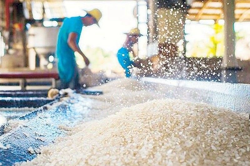 Rep. Adiong kay VP Sara Bigas sa Duterte admin P70/kilo, may bukbok pa