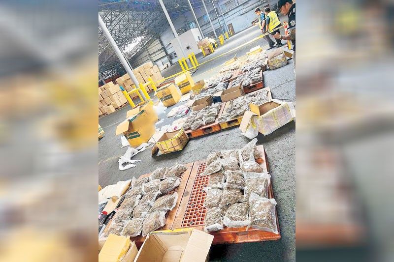P101 million weed seized at MICP