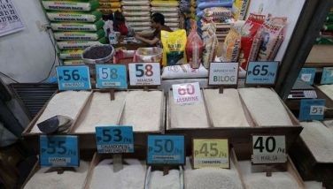 Varieties of rice are on display for sale at Kamuning Public Market in Quezon City on March 18, 2025. 