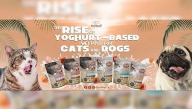 The rise of yoghurt-based wet food for cats and dogs