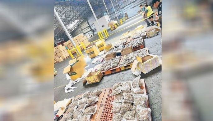 BOC umiskor, P101 milyong marijuana nakumpiska