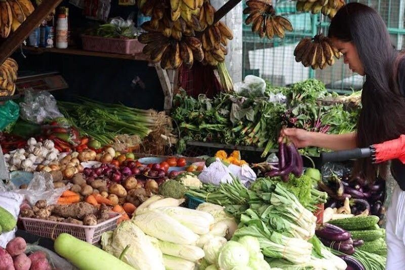 Jobs, food security still top issues for voters – SWS