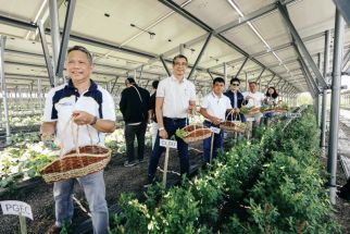 Rizal Green Energy pilots agrivoltaics in San Jose solar project