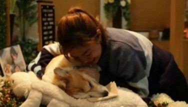 Bianca De Vera temporarily leaves 'PBB' house for departed dog