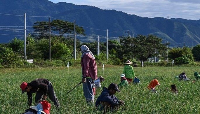 Agricultural trade deficit widens to $890 million in March