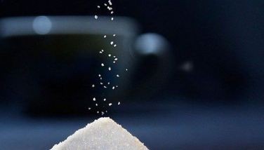 Government urged to exclude sugar from ACAFTA negotiations