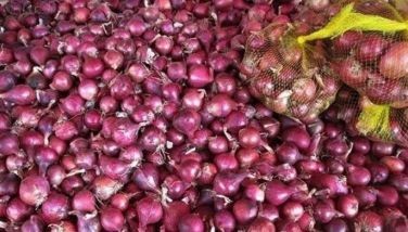 Red onion stocks seen to last until 2026