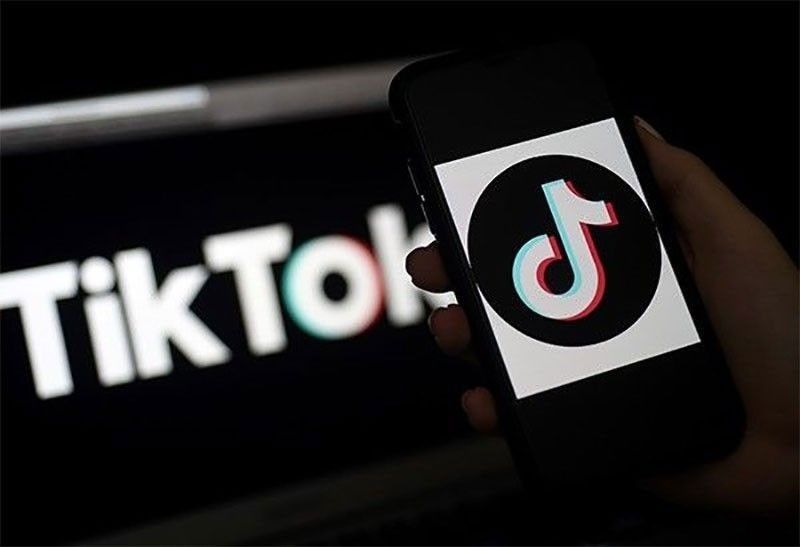 Over 1.1 million TikTok accounts blocked during polls