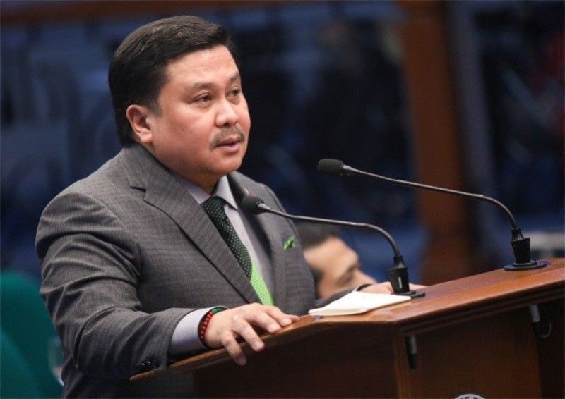 Jinggoy’s son, nephew beaten in Boracay