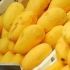 DA: Philippines mangoes debut in Italy