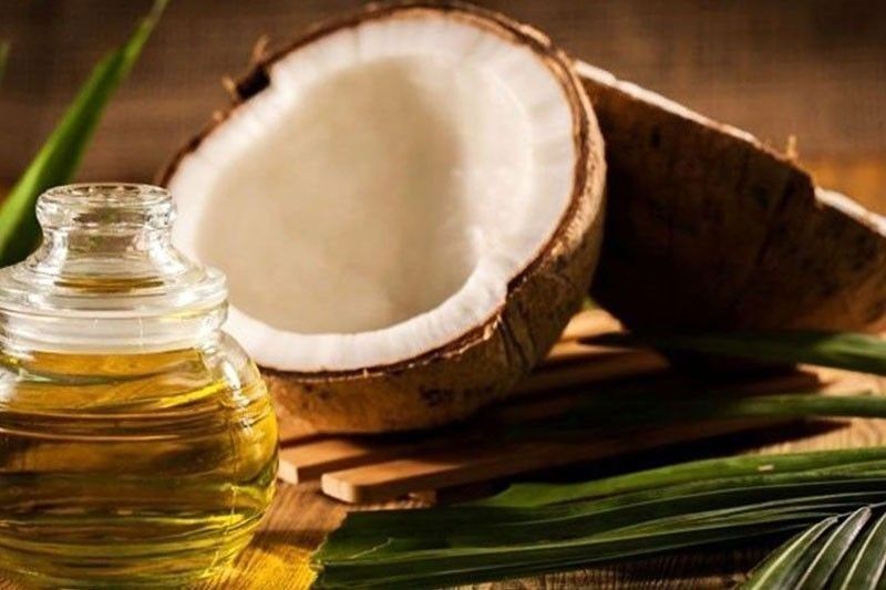 Coco oil export earnings seen at new record high