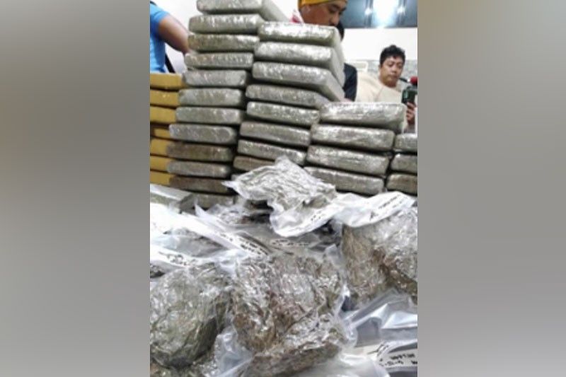 21-anyos nag-alok ng droga online, arestado sa P9.75 milyong marijuana
