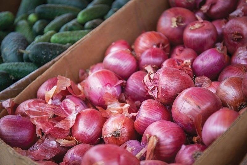DA may allow imports of onions later this year