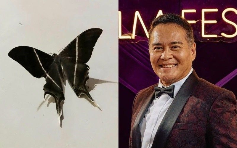 John Arcilla reacts to tropical moths in Manila: 'Disturbing and fretful' |  Philstar.com