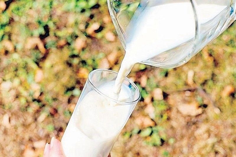 Dairy imports up 15% in Q1