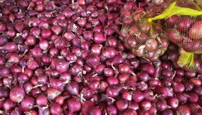P14 milyong sibuyas mula China positibo sa E-coli, salmonella