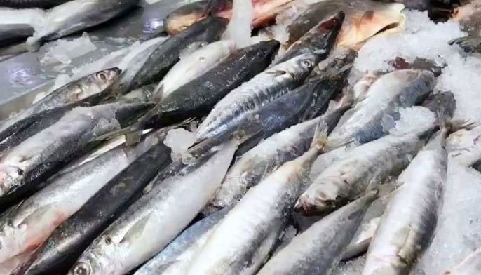 Brokers face economic sabotage raps over P33 million agricultural smuggling